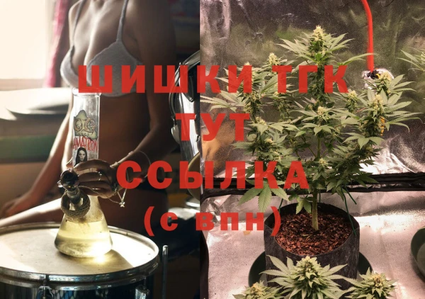 apvp Богородицк