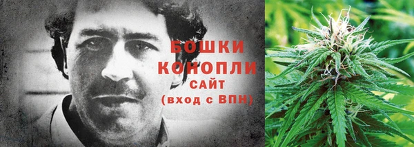 apvp Богородицк