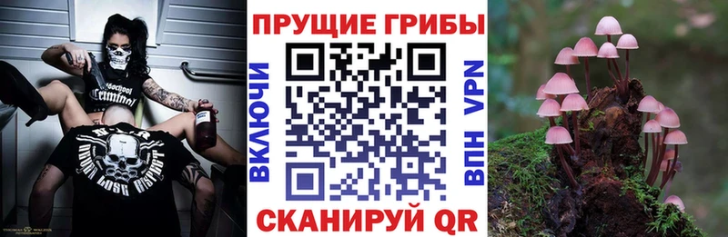Галлюциногенные грибы прущие грибы кракен зеркало Называевск цены